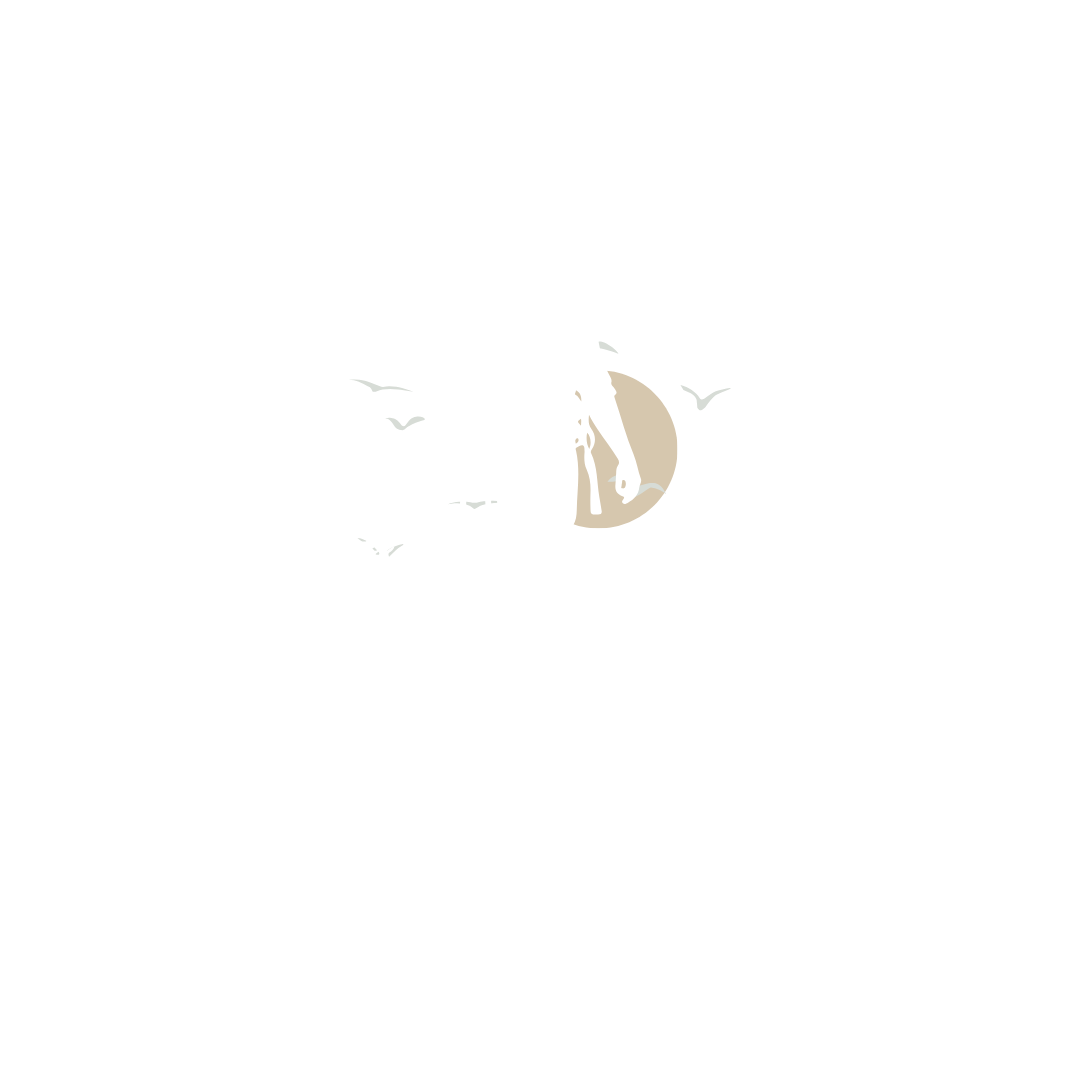 Além da Rotina